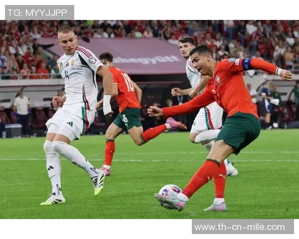 脏球员足球现象解析与对策探讨如何维护比赛公平性与体育精神